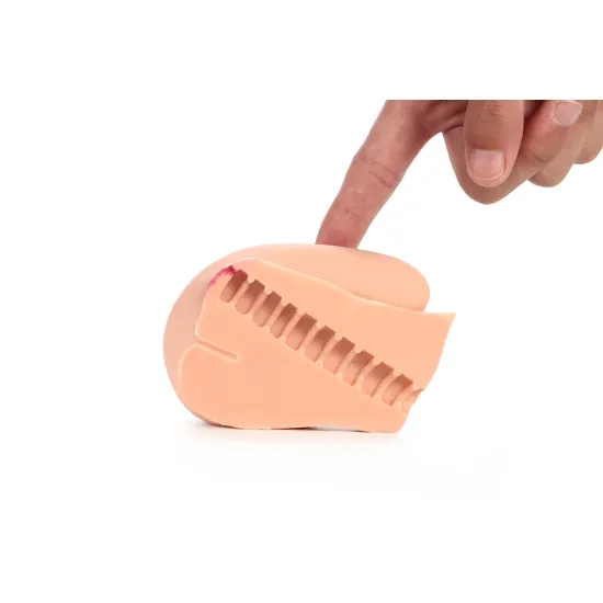 باسن ویبره